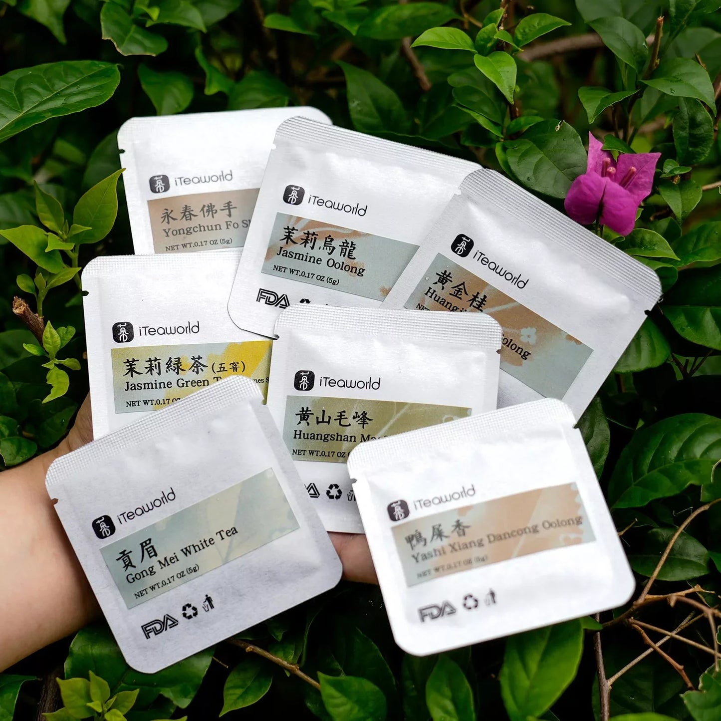 Light & Lively: Floral Cold Brew Teas | 0 Sugar · 0 Calories · 0 Additives - Whole Leaf | 14 Bags
