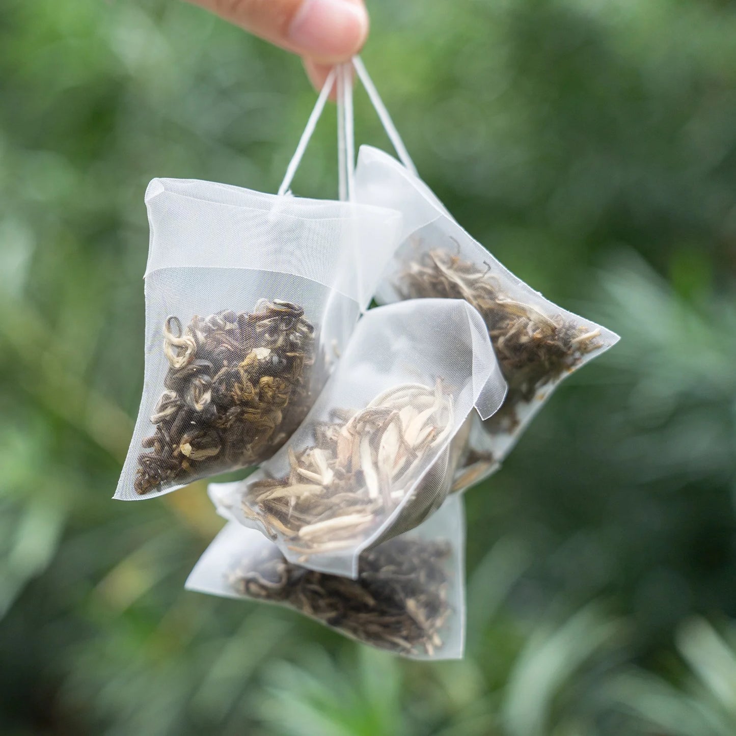 Oolong Tea Sampler – 4 Varieties for Beginners