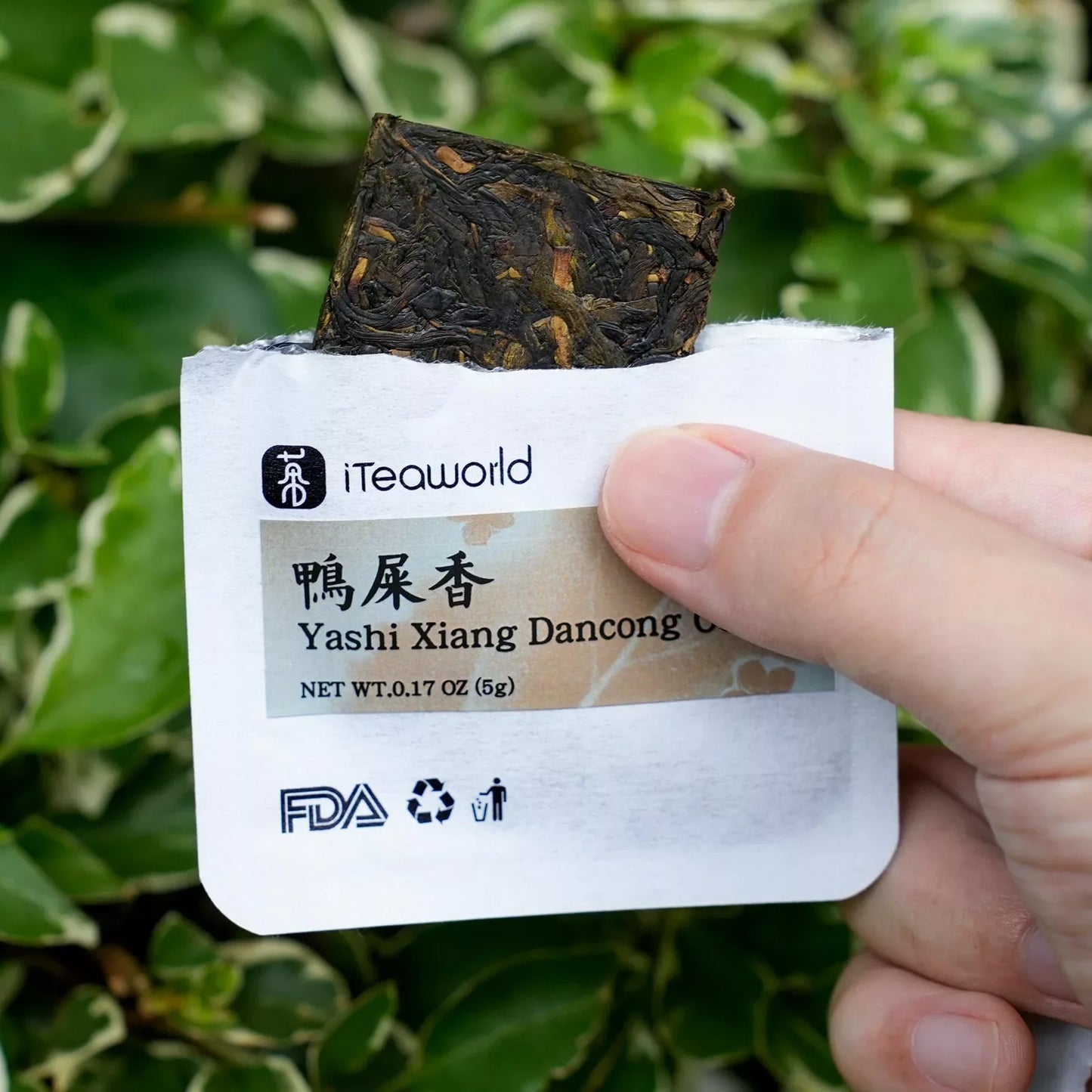 Light & Lively: Floral Cold Brew Teas | 0 Sugar · 0 Calories · 0 Additives - Whole Leaf | 14 Bags
