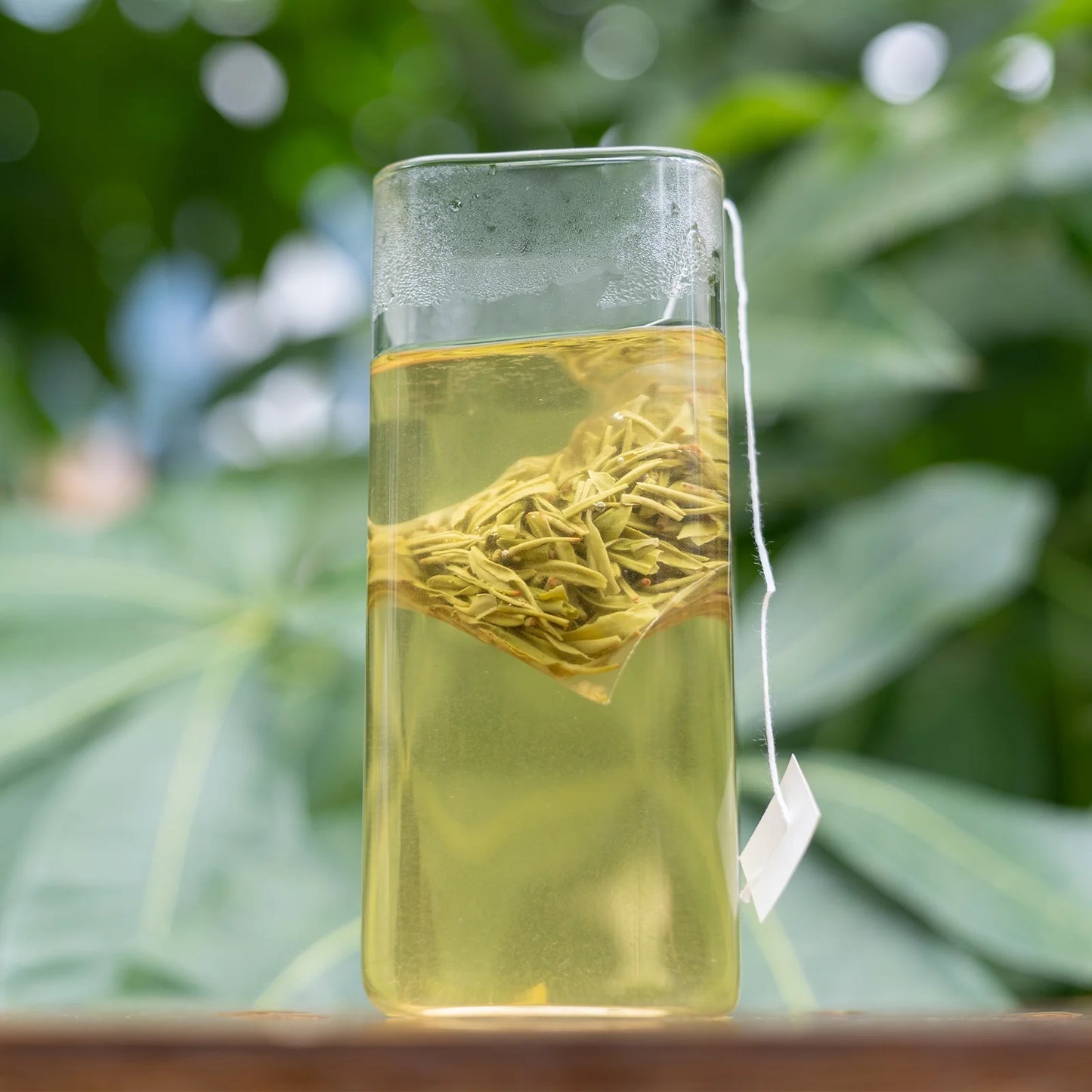 Oolong Tea Sampler – 4 Varieties for Beginners
