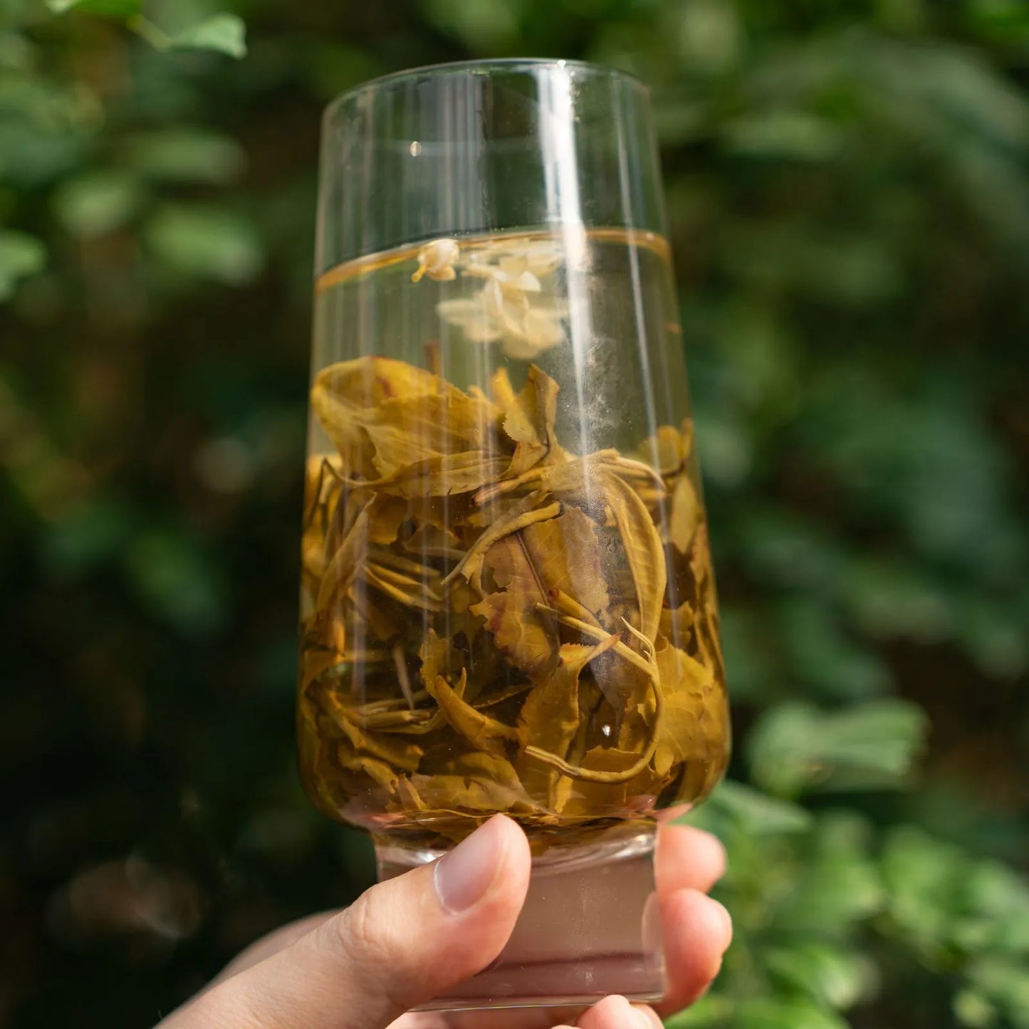 Jasmine Green Tea Bi Luo Chun 3-Scent 100g