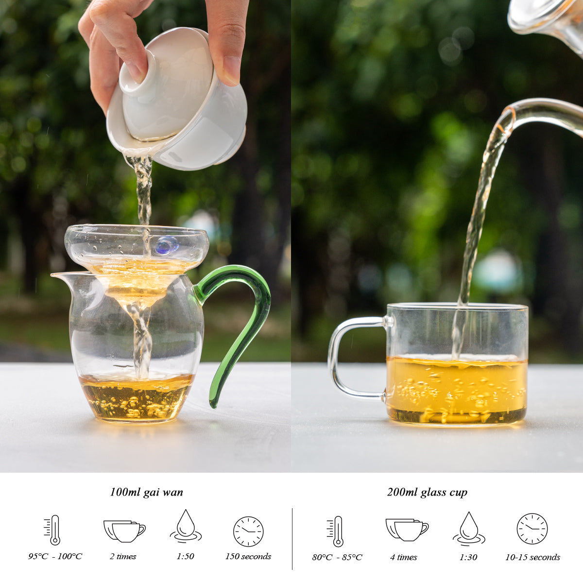 Chinese Green Tea Collection – 6 Premium Teas for Tea Lovers 100g