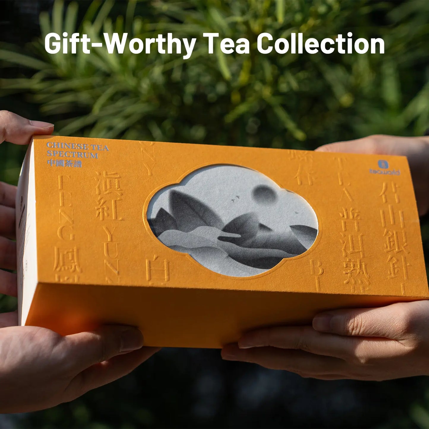 The Six Famous Chinese Teas – Green, Puerh, Oolong & More 100g