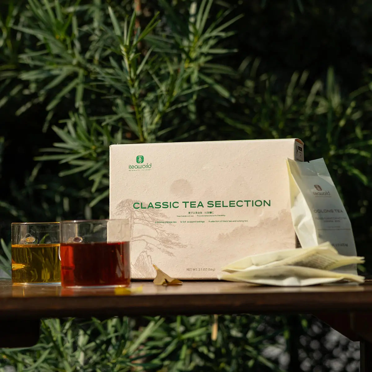 Chinese Tea Sampler – 8 Oolong & Black Teas for Beginners