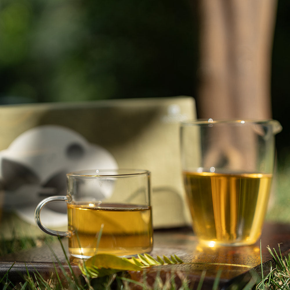 Chinese Green Tea Collection – 6 Premium Teas for Tea Lovers 100g