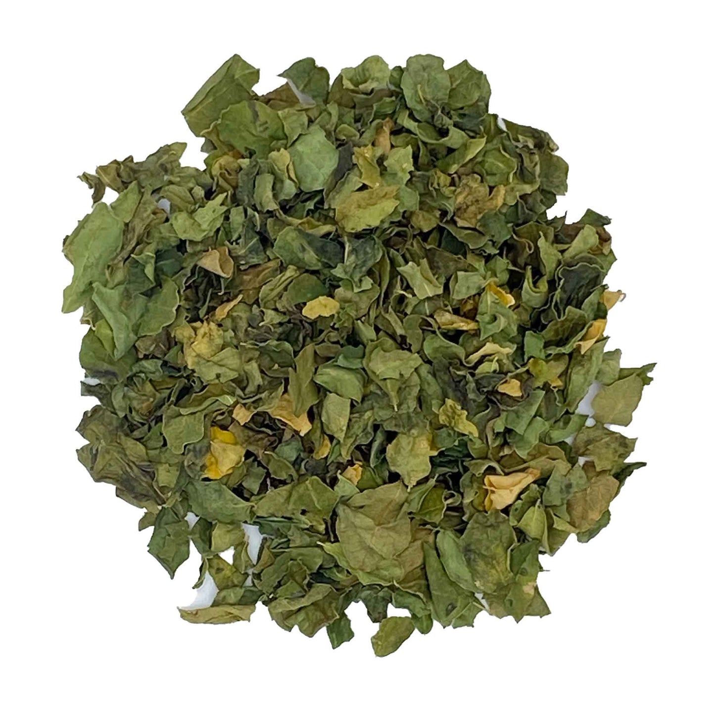 MORINGA LEAF TEA | The miracle tree tea