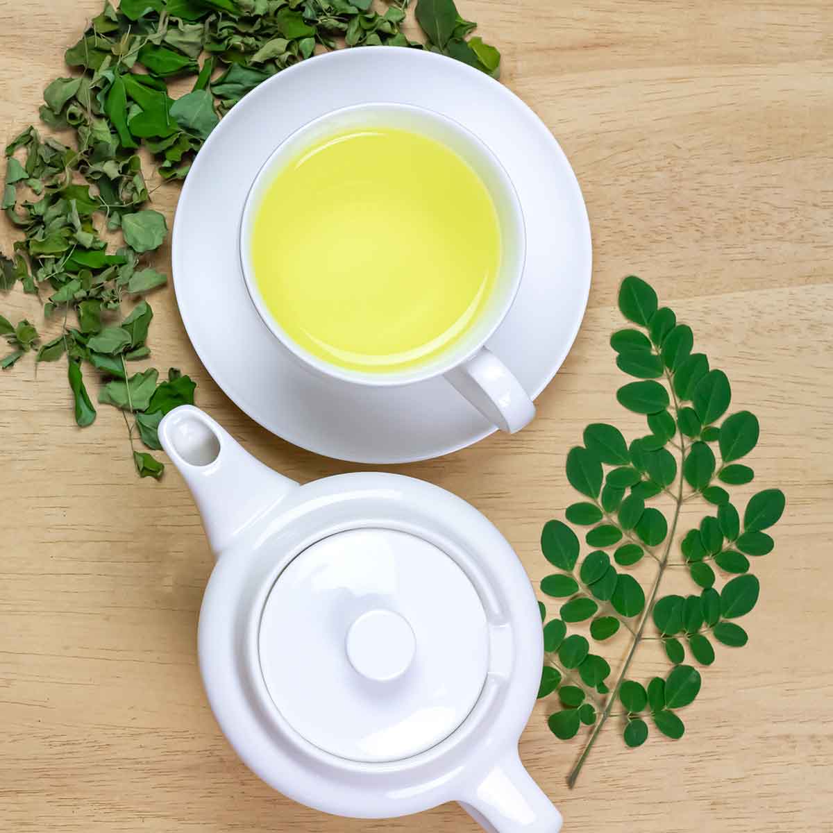 MORINGA LEAF TEA | The miracle tree tea