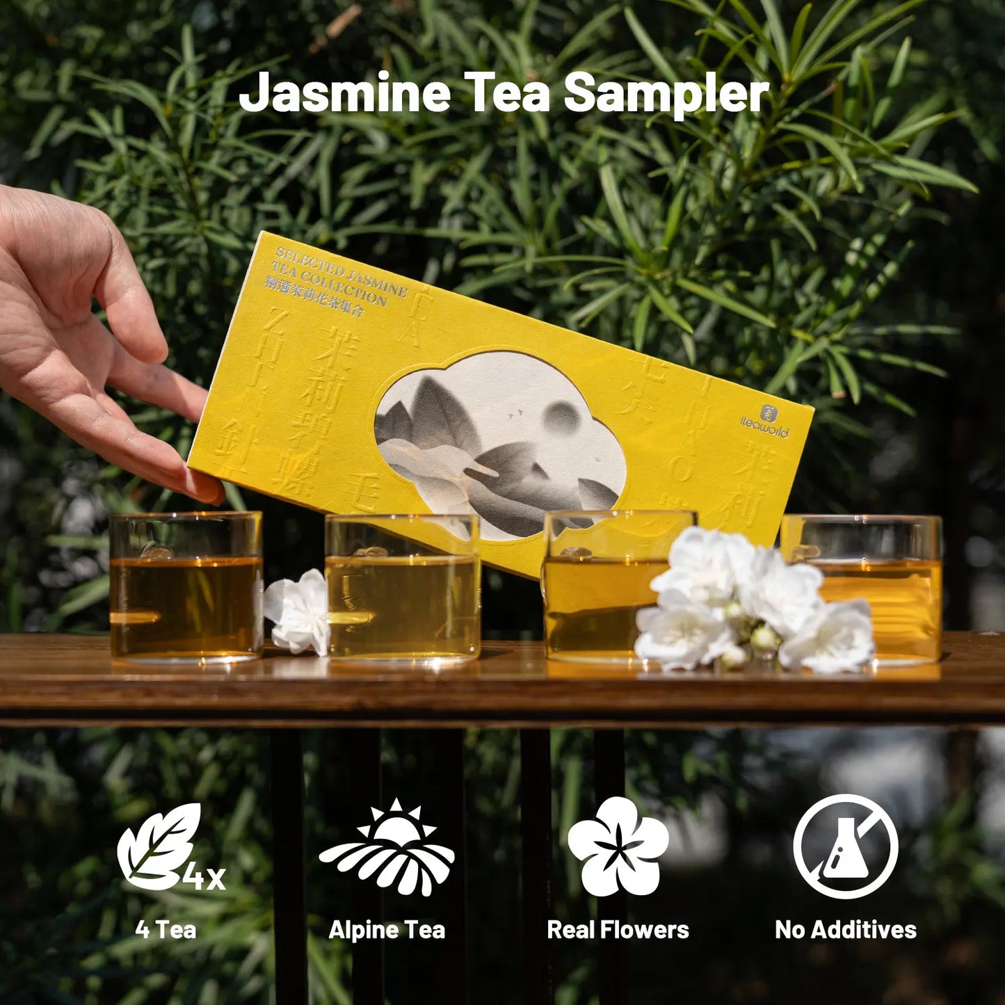 Jasmine Green Tea Collection– 3 to 9 times scented