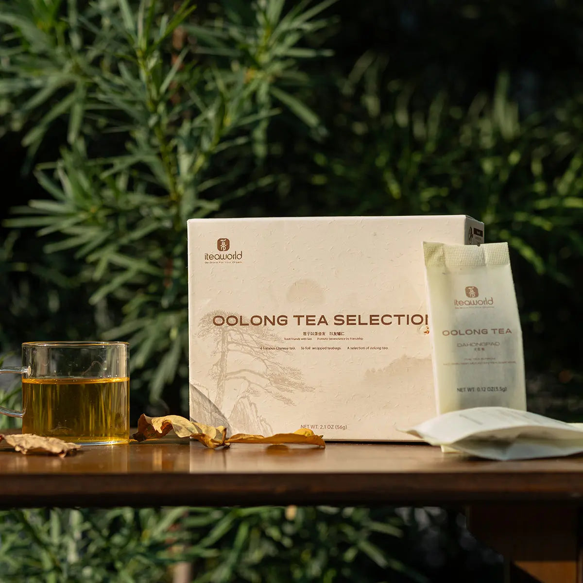 Oolong Tea Sampler – 4 Varieties for Beginners