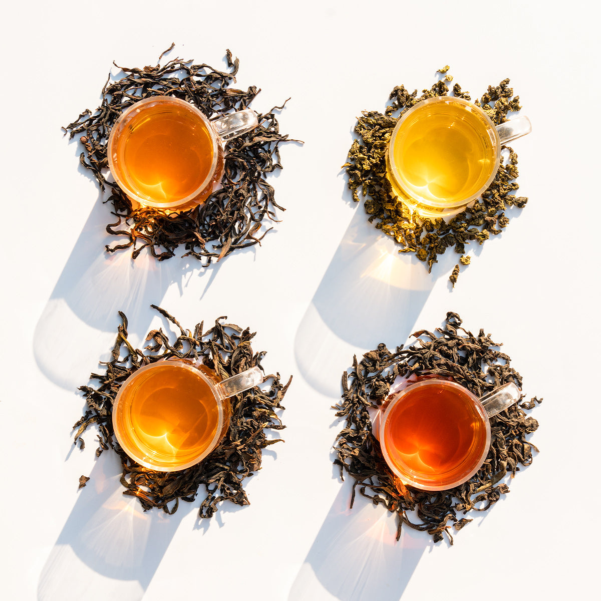 Oolong Tea Sampler – 4 Varieties for Beginners