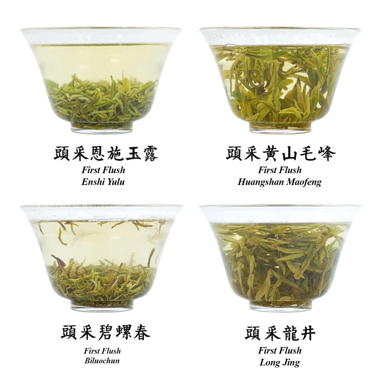 2025 First Flush Spring Tea Collection 100g