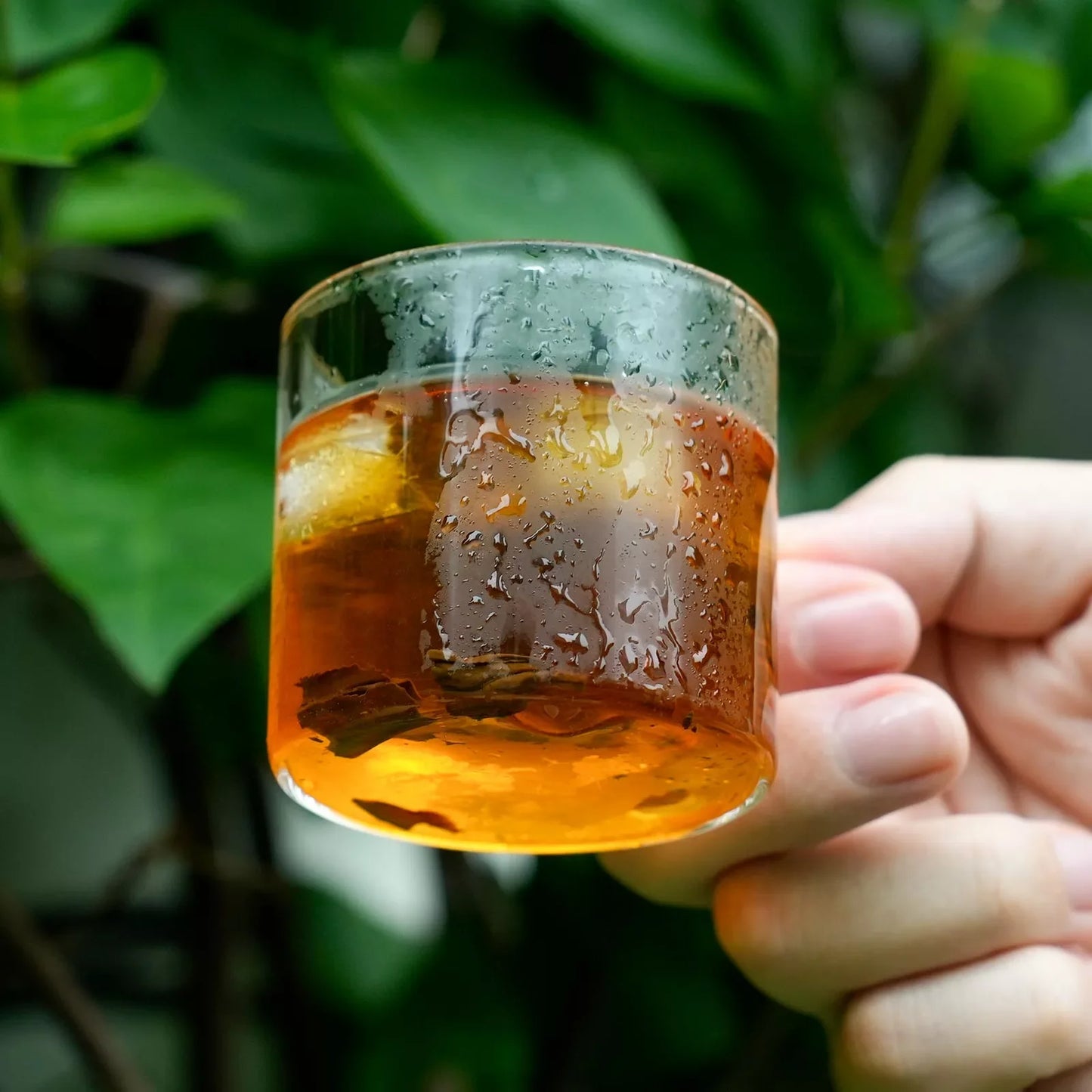Smooth & Bold: Rich Cold Brew Teas | 0 Sugar · 0 Calories · 0 Additives - Whole Leaf | 14 Bags