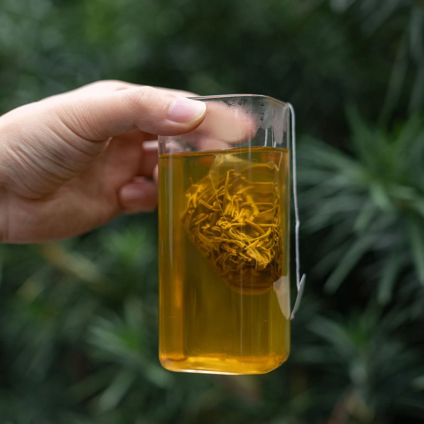 Best Jasmine Green Tea  Baihao Grade 9-Infusion 100g