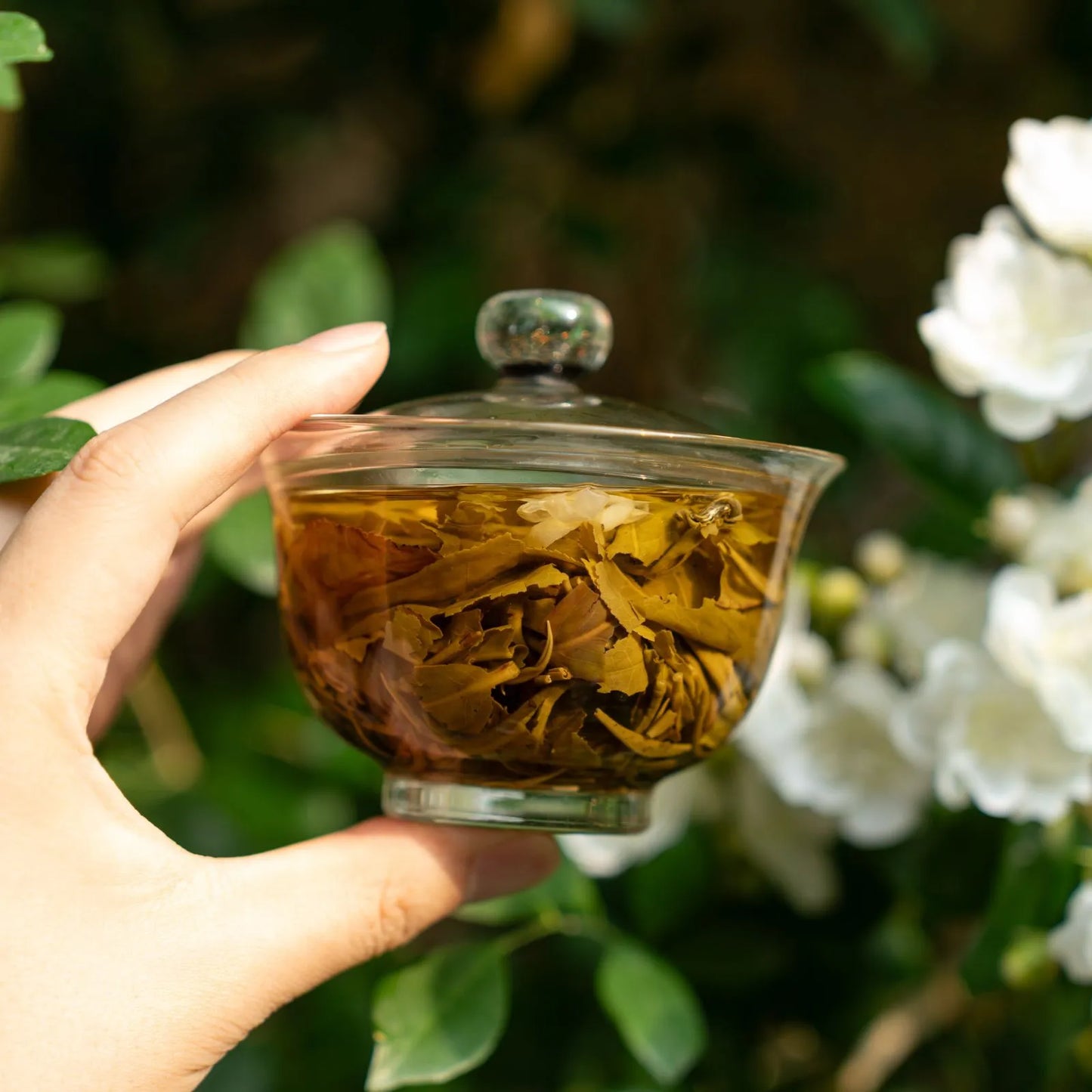 Jasmine Green Tea  Bi Luo Chun 3-Scent 100g