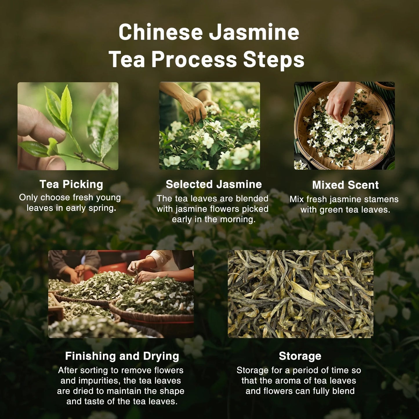Jasmine Green Tea  Bi Luo Chun 3-Scent 100g