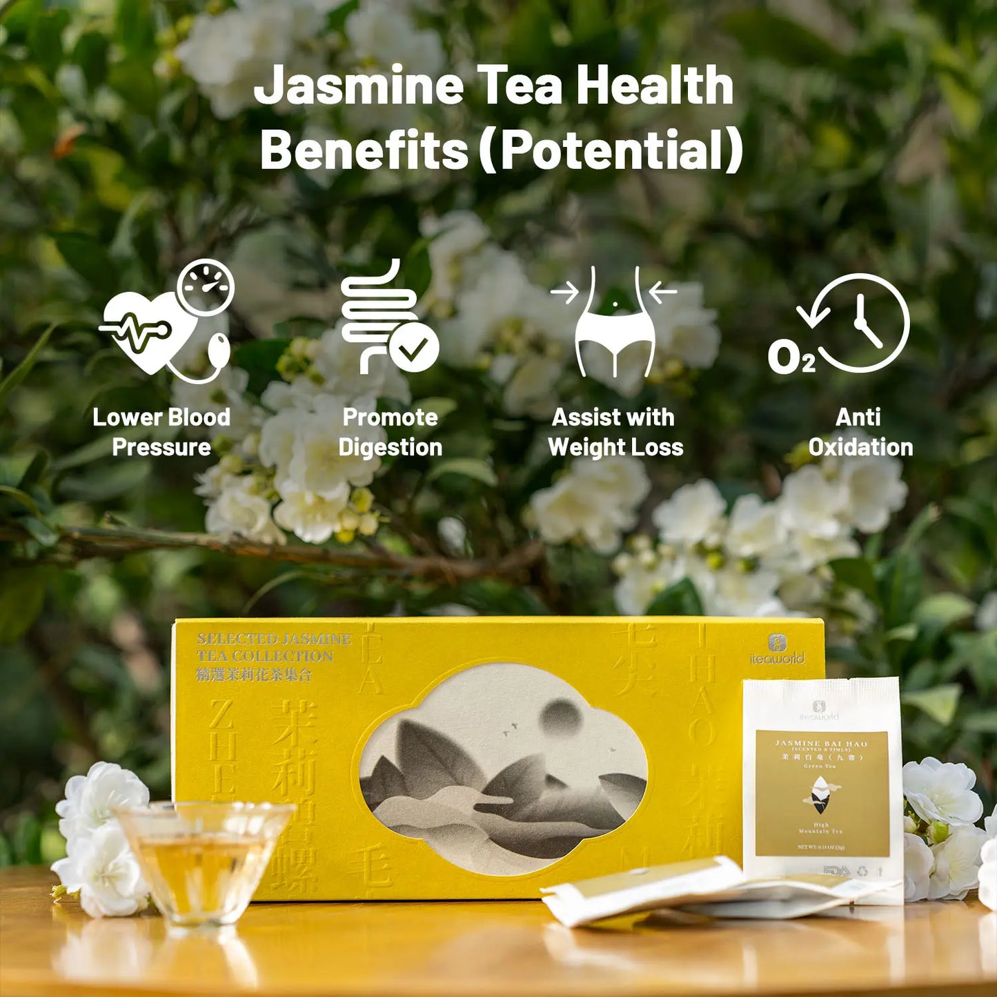 Jasmine Green Tea Collection– 3 to 9 times scented