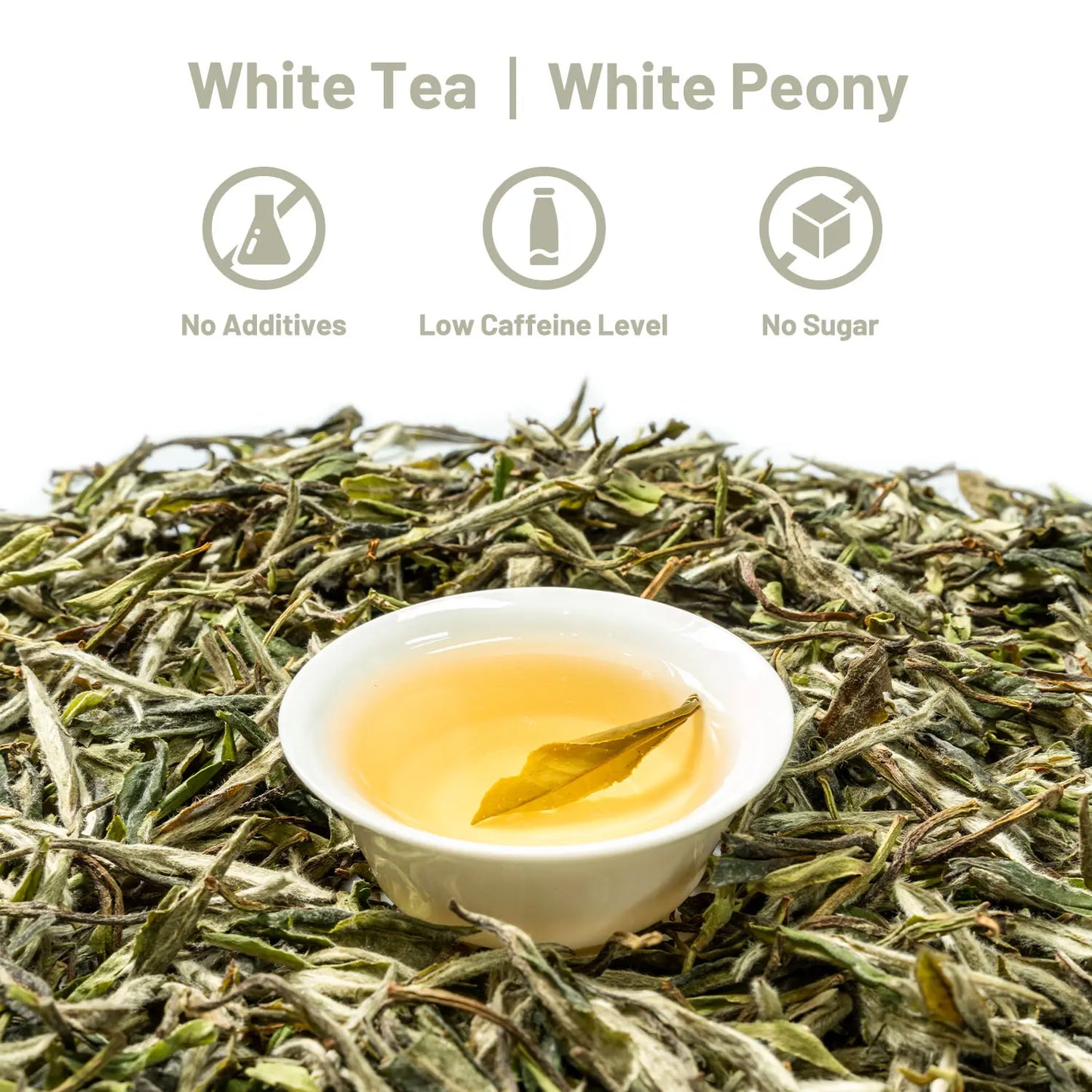 The Six Famous Chinese Teas – Green, Puerh, Oolong & More 100g