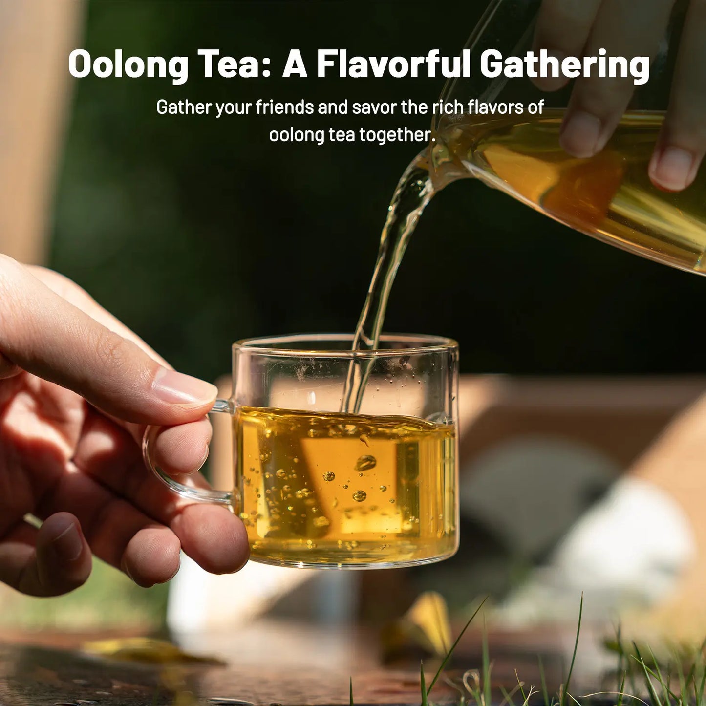 oolong Tea Collection– 4 Premium Teas for Tea Lovers 100g