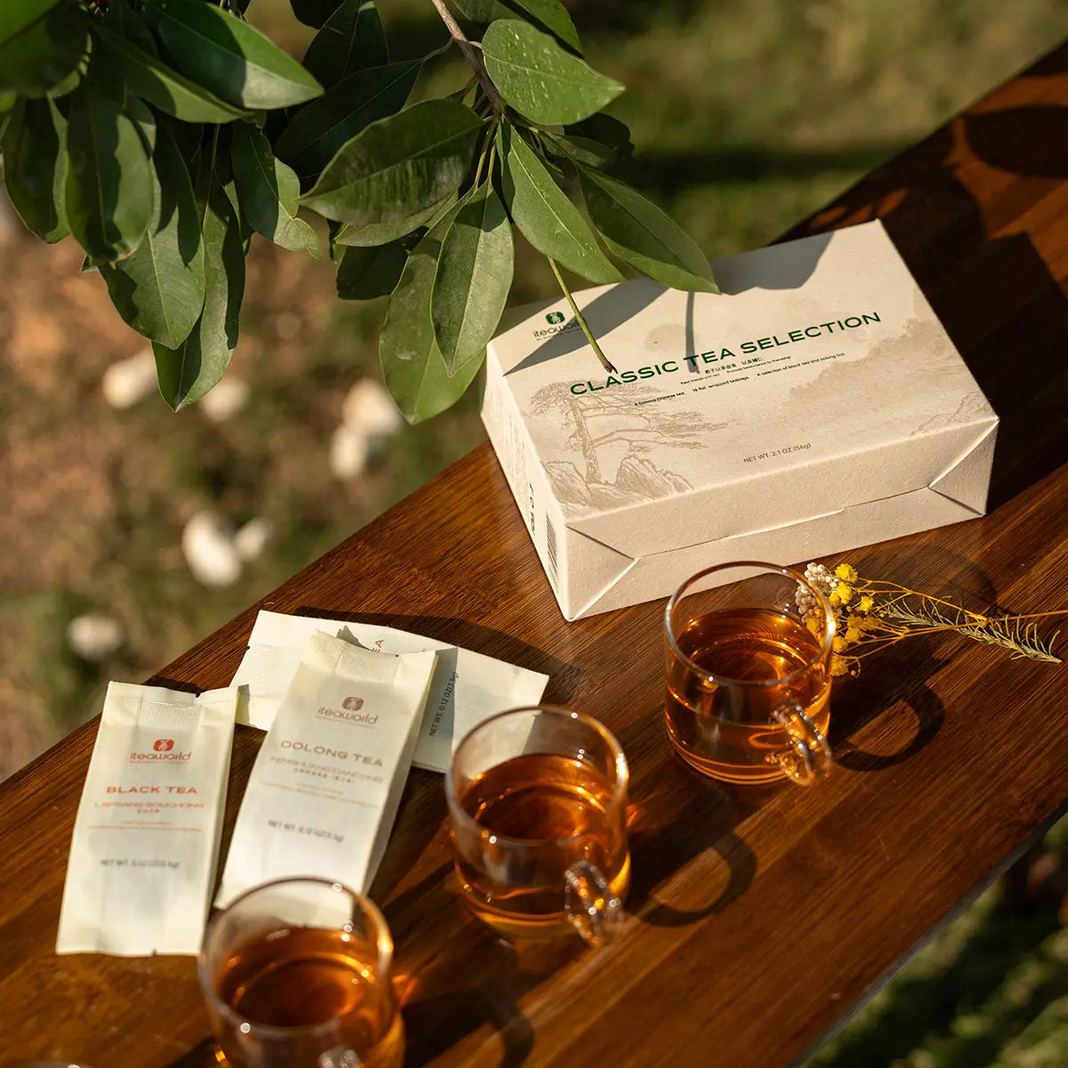 Chinese Tea Sampler – 8 Oolong & Black Teas for Beginners