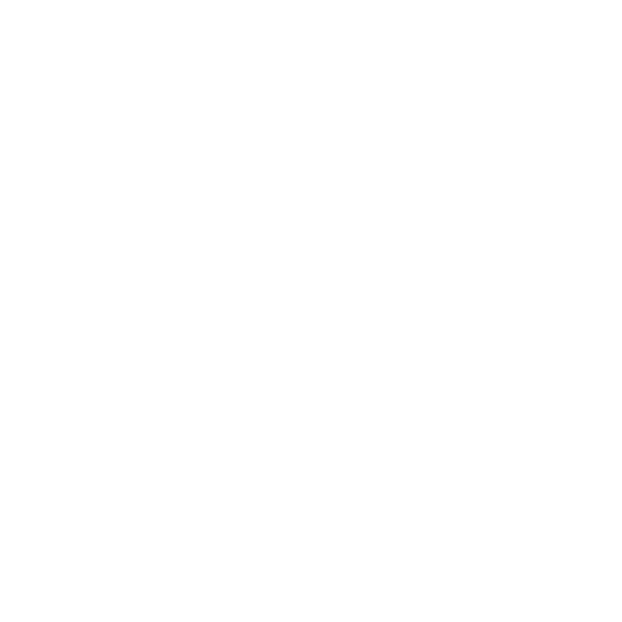 DAILY STRAINER LTD