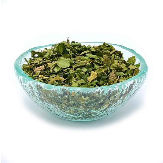 MORINGA LEAF TEA | The miracle tree tea